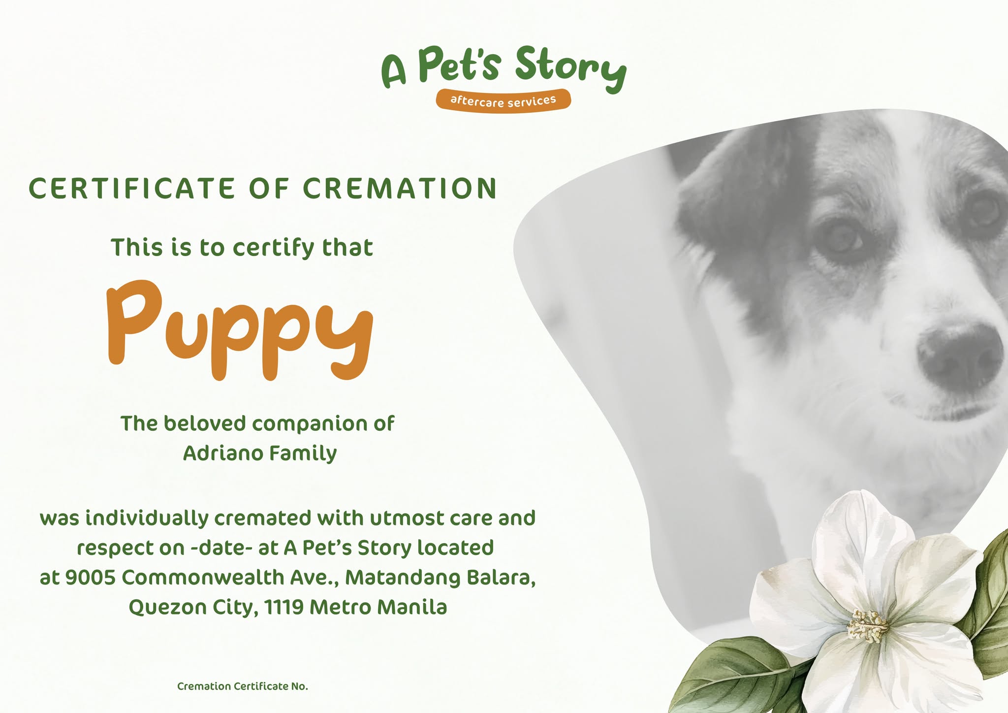 Sample Cremation Certificate